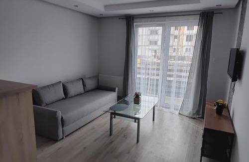 Kruszwica Apartamento | Kruszwica Wspólna 3