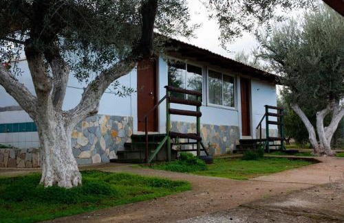 Velon Casa | Ktima Paradise