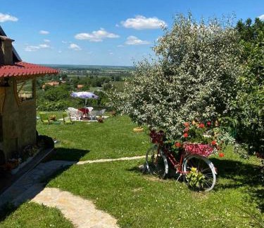 Cerevic Casa | Kuća Čerevićki Vidikovac