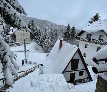Kopaonik Villa | Kuća na Kopaoniku - Rani mraz
