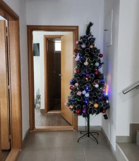 Central Serbia Apartamento | Kuća sa lepim pogledom - porodica Čolović
