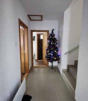 Central Serbia Apartamento | Kuća sa lepim pogledom - porodica Čolović