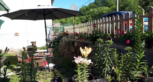 Balta Berilovac Casa | Kuća Talija