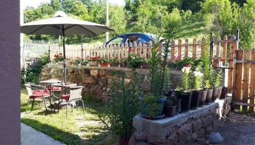 Balta Berilovac Casa | Kuća Talija