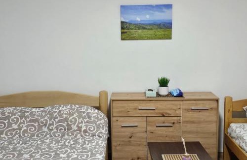 Kraljevo Apartamento | KUĆA VASILJEVIĆA 064/16 88 141
