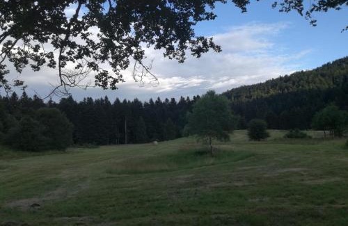 Crni Lug Apartamento | Kuća za odmor "Jasna" (Holiday home "Jasna")