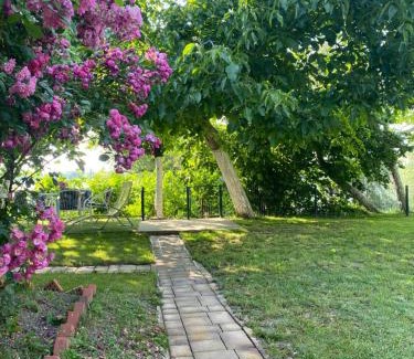 Banostor Casa | Kućerak kraj Dunava
