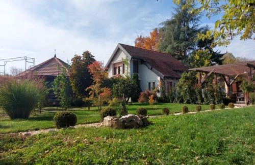 Central Serbia Casa | Kuca na Savi - Stari hrast
