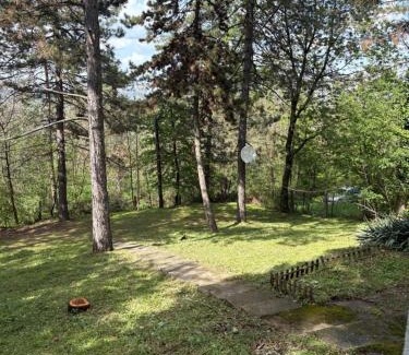 Mladenovac Casa | Kuca u sumi Kosmaj