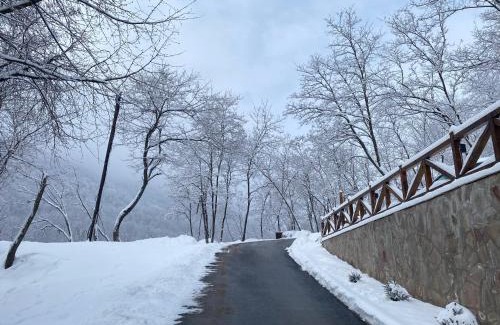 Stara Planina Casa | Kuca za odmor ,Balkan”