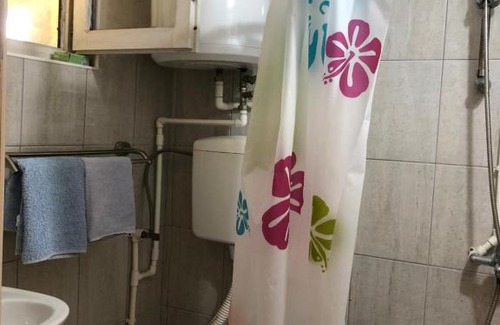 Despotovac Apartamento | Kuca za odmor Davidovic