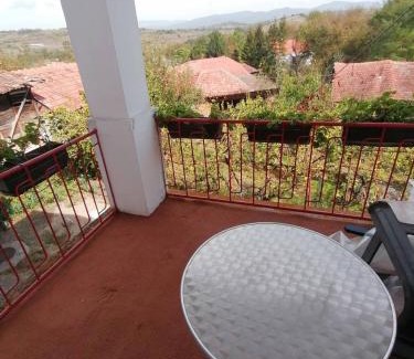 Stara Planina Apartamento | Kuca za odmor Marina Jelenkovic