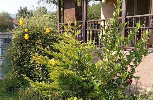 Kraljevo Casa | Kuca za odmor Zicanka