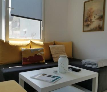 Vrdnik Apartamento | Kucerak111