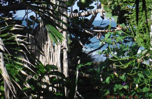 Treasure Beach Casa | KuDehya Guesthouse