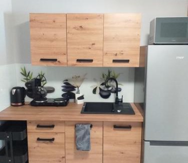 Bystrzyca Kłodzka Apartamento | Kulibaba