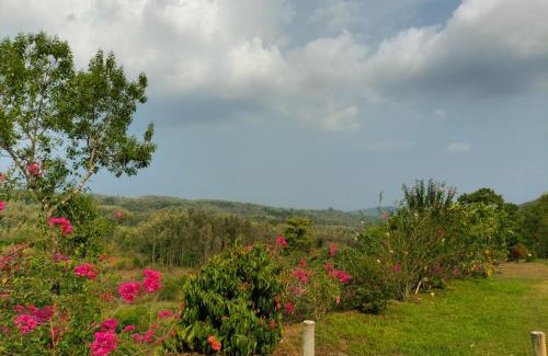 Somvarpet Casa | Kumbargadde Homestay