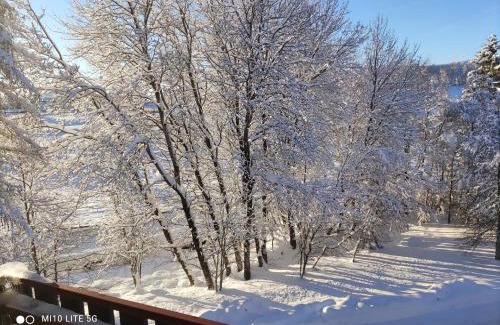 Schluchsee Apartamento | Kurhotel Schluchsee App 2313 - Genießer-Apartment mit Südbalkon - mit Indoorpool Schluchsee, Hochschwarzwaldkarte