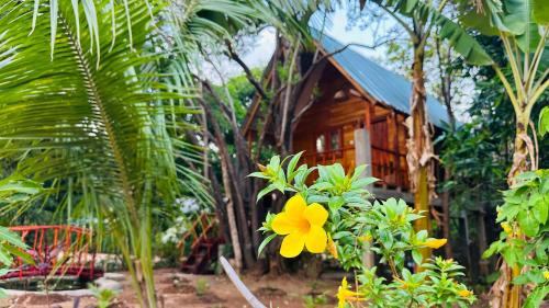 Sigiriya Cabina | Kurulu Kele Family Tree House