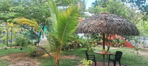 Mararikulam Casa | Kuttappy dreams