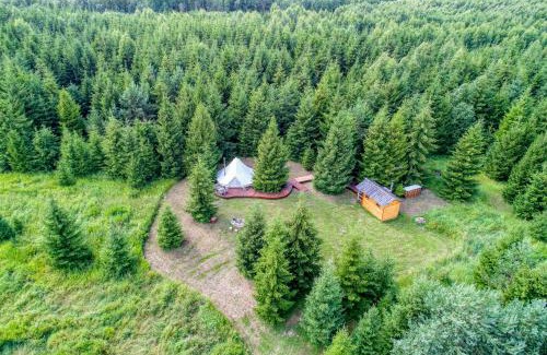 Kohila Otro | Kuusehaldja Glamping