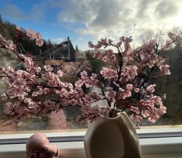 Sør-audnedal Casa | Kvernhusheia Gjestegård