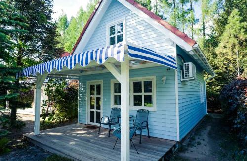 Ryn Apartamento | Kwiat Paproci