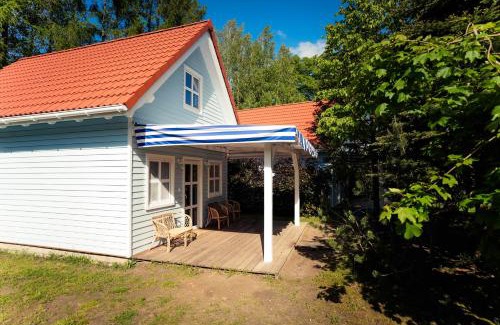 Ryn Apartamento | Kwiat Paproci