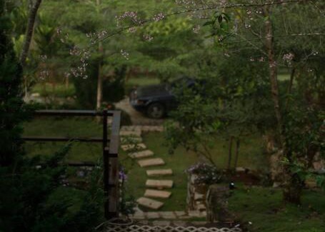 Lac Duong Villa | Làng Tinh Mơ - Dreaming Village Da Lat