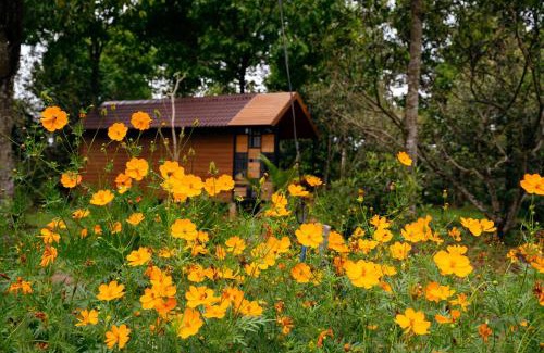 Cam My Casa | Làng Trường Thọ Farmstay