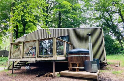 Noues de Sienne Cabina | L'étape en forêt