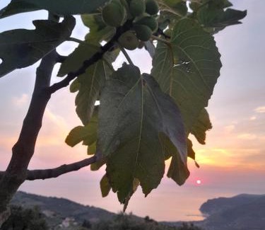 San Mauro Cilento Casa | L'Aia