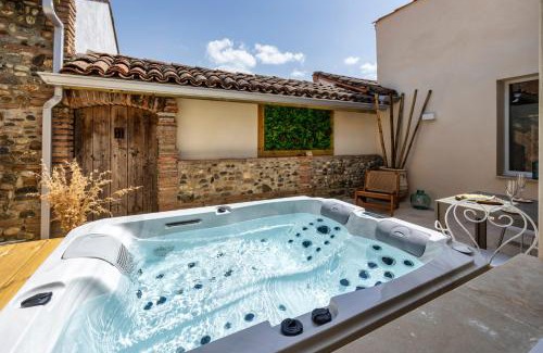Castelnau-d'Estretefonds Apartamento | l'Alcove - SPA&SAUNA privé - Oliveraie d'Eurocentre