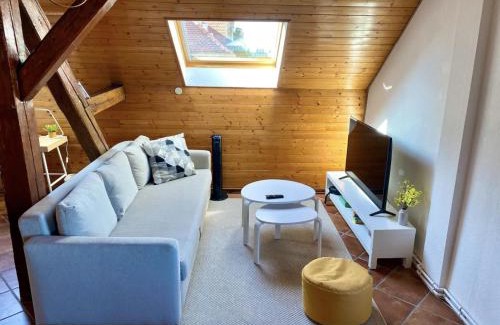 Mulhouse Apartamento | L’Alsacien Cosy : Duplex - Netflix - Wifi/Fibre