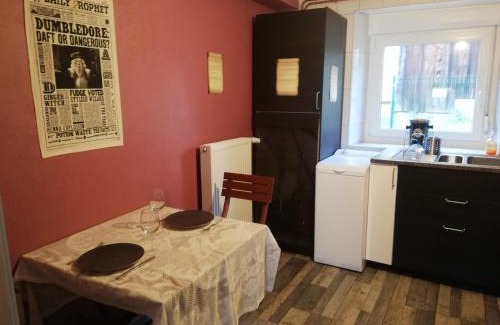 Stosswihr Apartamento | l'antre du Sorcier (inspiré du monde Harry Potter)