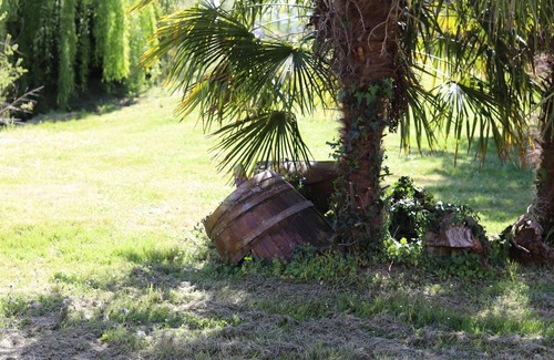 Heres Cabaña | L'Atelier @ Le Prielle small 3 bed rural gite, Madiran