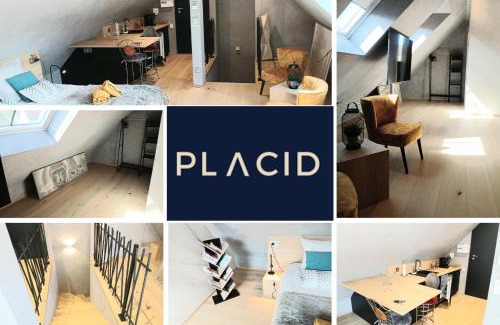 Rosheim Apartamento | L'Ecrin de Velours Elégant-Paisible