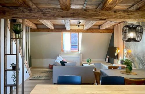 Barr Apartamento | L'Eden du Vignoble - Centre historique de Barr