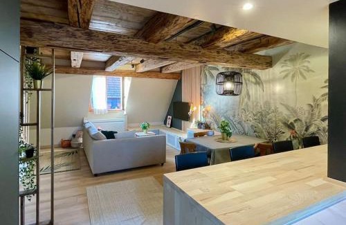 Barr Apartamento | L'Eden du Vignoble - Centre historique de Barr