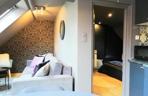 Niederbronn-les-Bains Apartamento | L'Escale Glamour et Chic - Climatisation, Netflix, WIFI, Petit déjeuner français