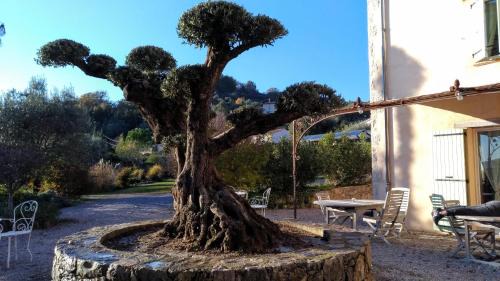 Tourrettes Cama Y Desayuno | L'Escale Provençale