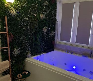 Quartier Chorier-Berriat Apartamento | L'extasia appartement,spa jacuzzi Grenoble