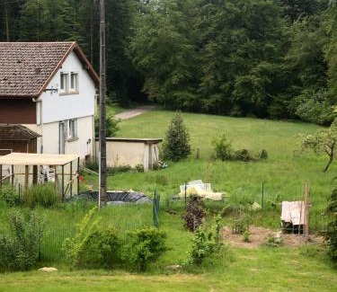 Le Val-d'Ajol Cama Y Desayuno | L'Hôtel Enfoncé, chambres d'hôtes