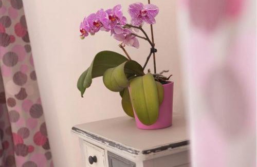 Spa Casa | L'Hermine
