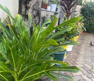 Mwananyamala Cama Y Desayuno | L&J Modern Backpackers Kinondoni