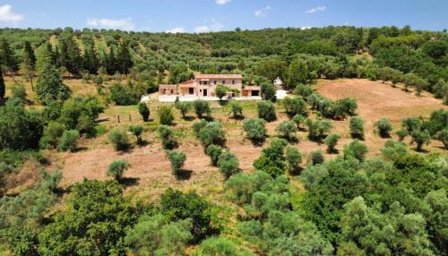 Borghetto Casa | L'oasi delle volpi
