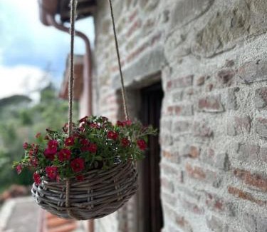 Borghetto Casa | L'oasi delle volpi