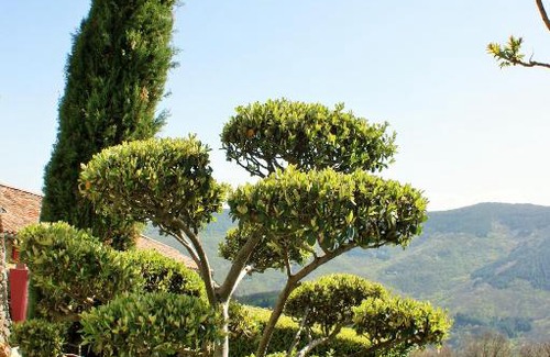 Laboule Casa | L'Oustau de Pequeti