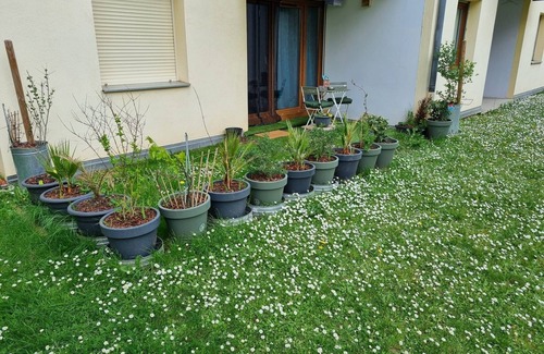 Koenigshoffen Est Apartamento | L'Univers au blanc, beautiful 65m² apartment near the town center