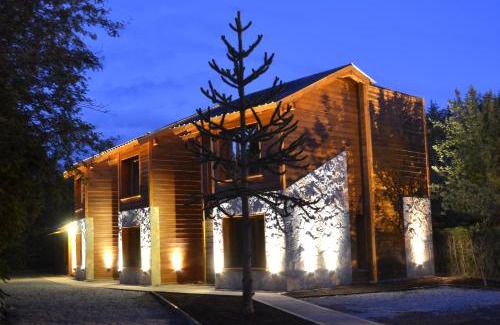 Angostura Apartamento | La Araucaria